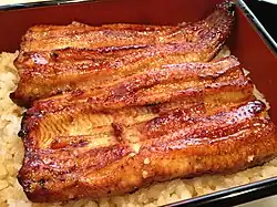 Unagi1.jpg